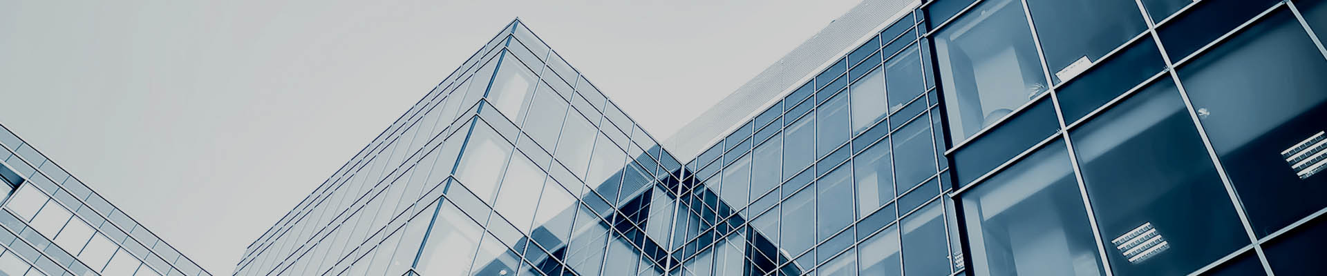 白樺茸健康食品研究院（廣州）有限公司