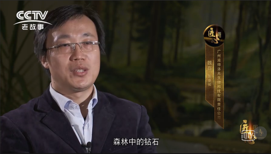 傳統藥材與現代科技的完美結合： 白樺茸特殊膳食食品開啟健康新篇章！