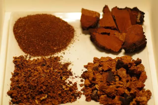 白樺茸精粉的價格是多少？