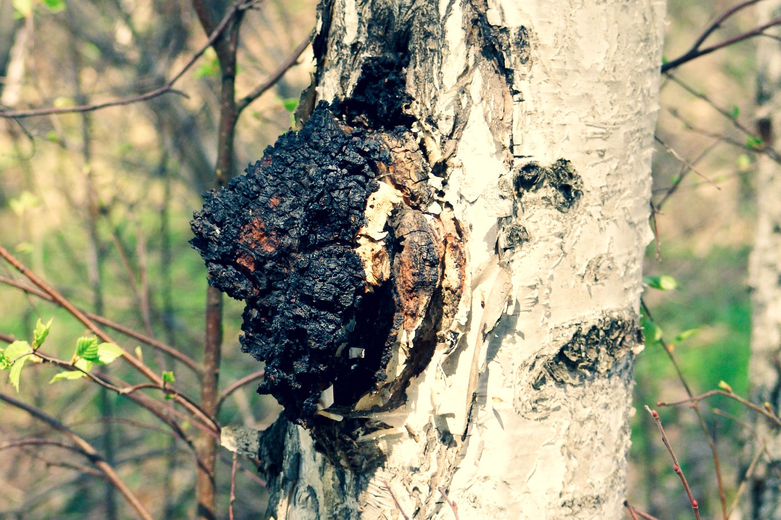 1745580163505684.jpg 1745580163505684.jpg