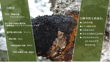 保健品新紀元：探索食用菌的奧秘，迎接真菌多糖養生時代