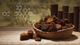 食用菌引領健康新時代：保健品的四代革新之路