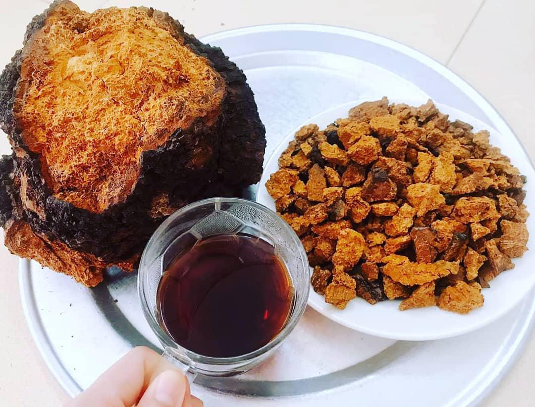 樺樹茸價格揭秘：一斤樺樹茸究竟值多少錢？