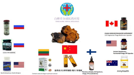 俄羅斯傳統智慧：白樺茸何以成為極地民族的活力之源