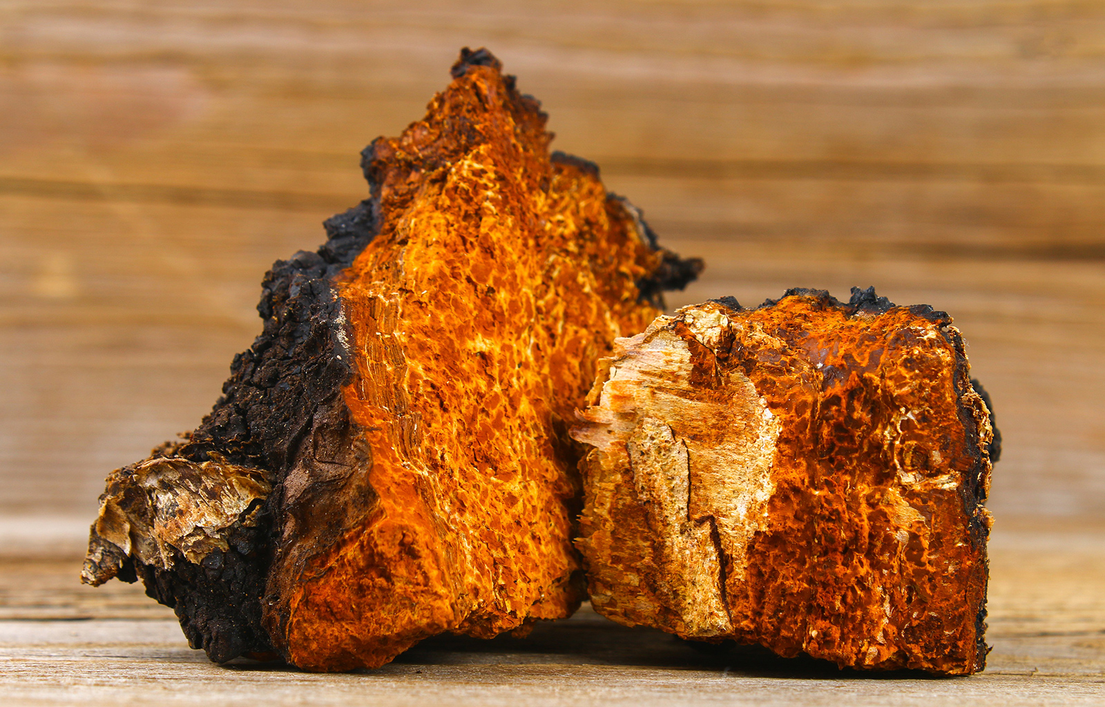 白樺茸成品怎么挑？片劑、粉劑、茶包哪個更適合你？